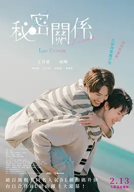 秘密关系:最后的约束海报