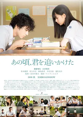 那些年,我们一起追的女孩2018海报