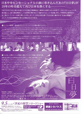 白日梦2009海报