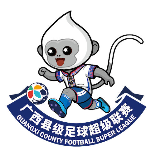 广西县超 钦州市灵山县队3-2防城港市港口区队20260411海报