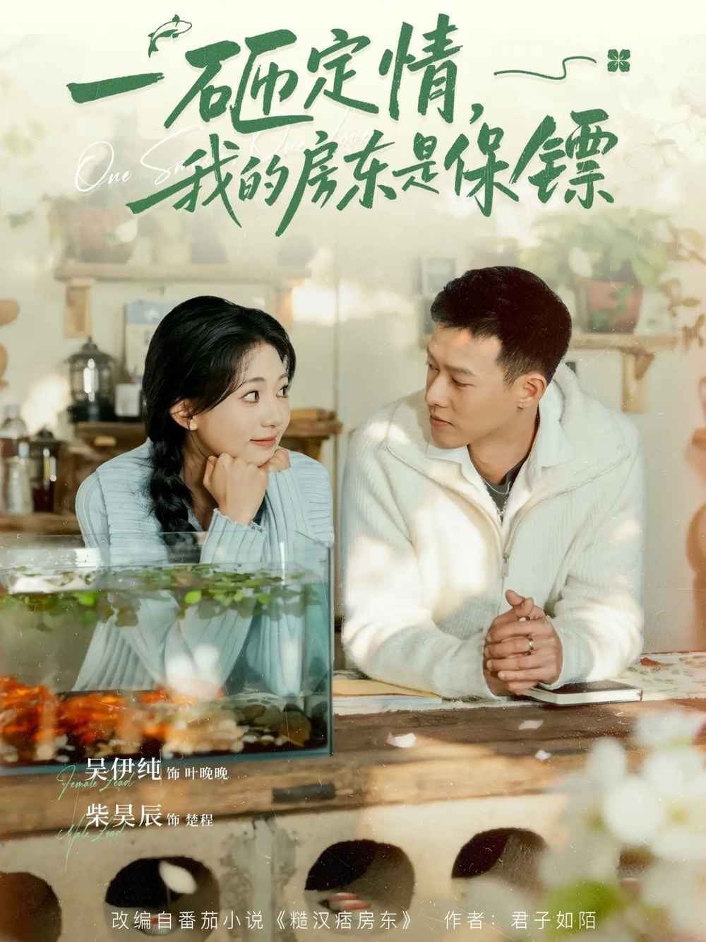 一砸定情,我的房东是保镖海报