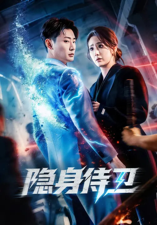 隐身侍卫海报