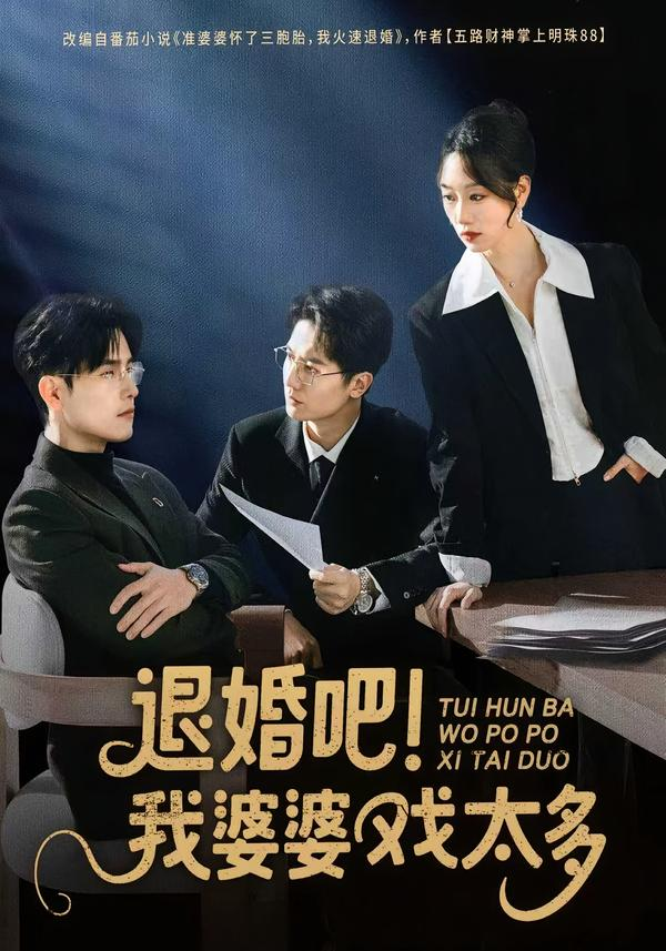 退婚吧!我婆婆戏太多海报