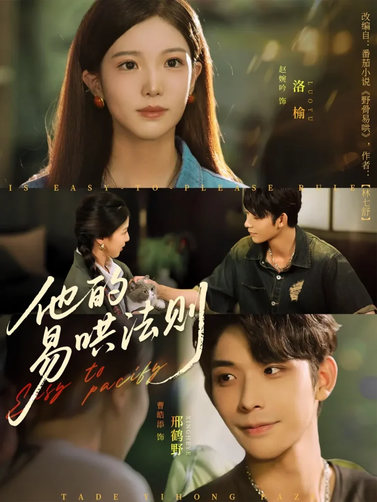 他的易哄法则 免费在线观看