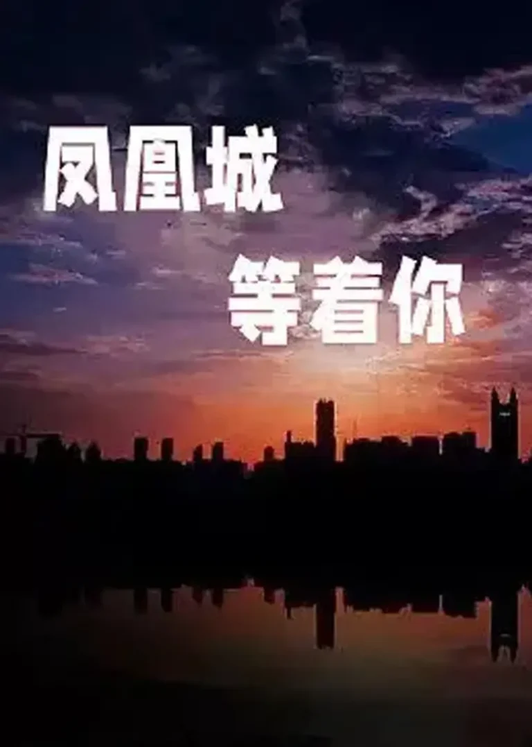 凤凰城等着你 免费在线观看