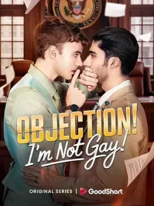 反对！我不是GAY