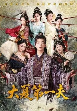 大夏第一夫 免费在线观看