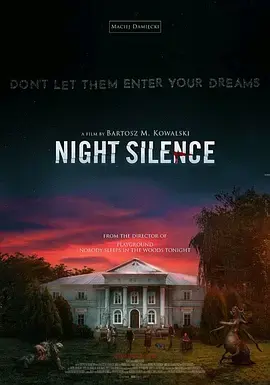 寂静之夜 免费在线观看