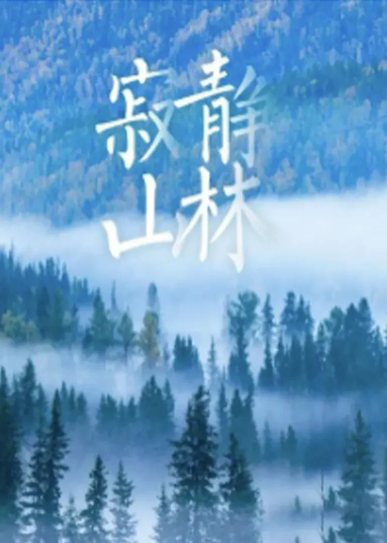 寂静山林 免费在线观看