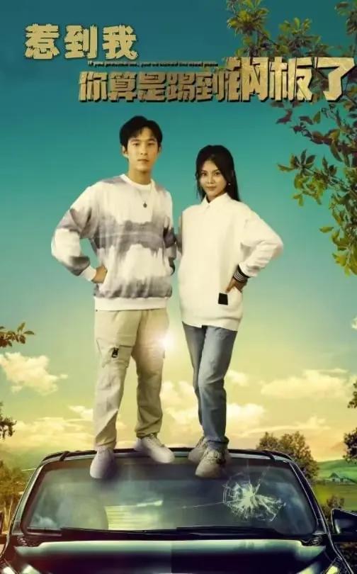 惹到我你算是踢到钢板了 免费在线观看