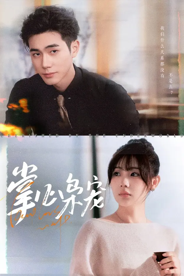 掌心枭宠 免费在线观看