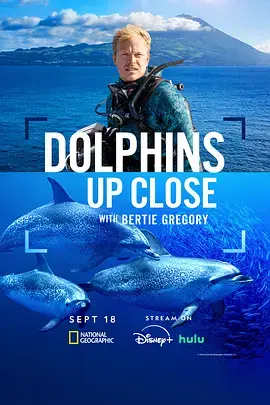 摄影师贝尔蒂与海豚零距离 免费在线观看