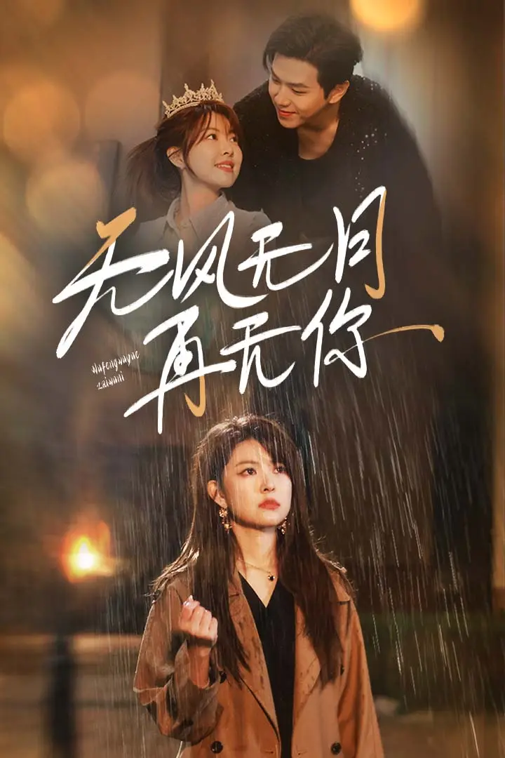 无风无月再无你 免费在线观看