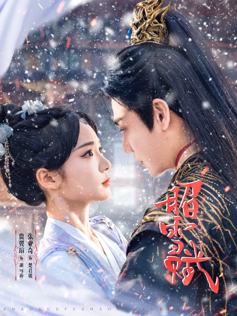 昭雪赋 免费在线观看