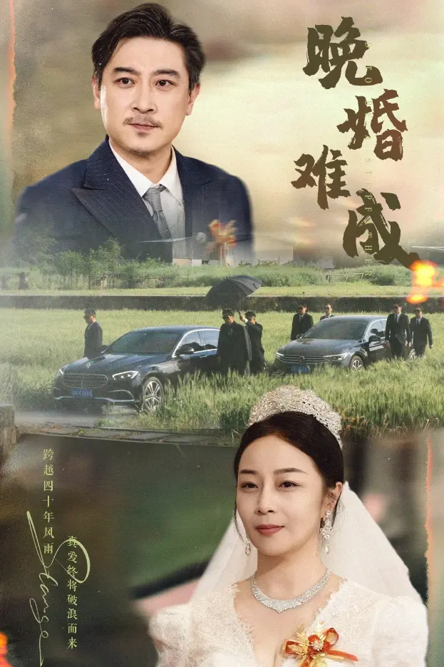 晚婚难成 免费在线观看