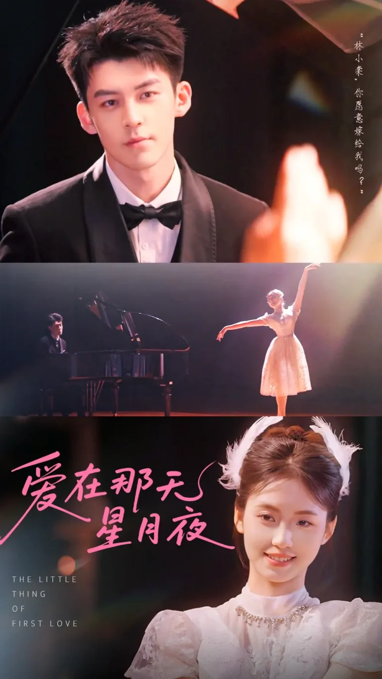 爱在那天星月夜 免费在线观看