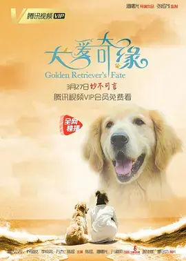 犬爱奇缘 免费在线观看