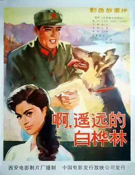 白桦林中的哨所 免费在线观看