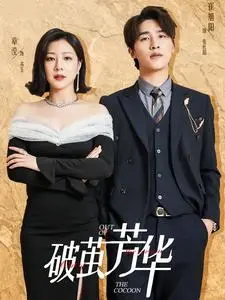 破茧芳华 免费在线观看