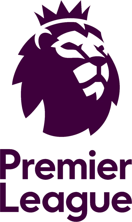 英超 诺丁汉森林vs埃弗顿20250412 免费在线观看