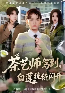 茶艺师驾到白莲统统闪开