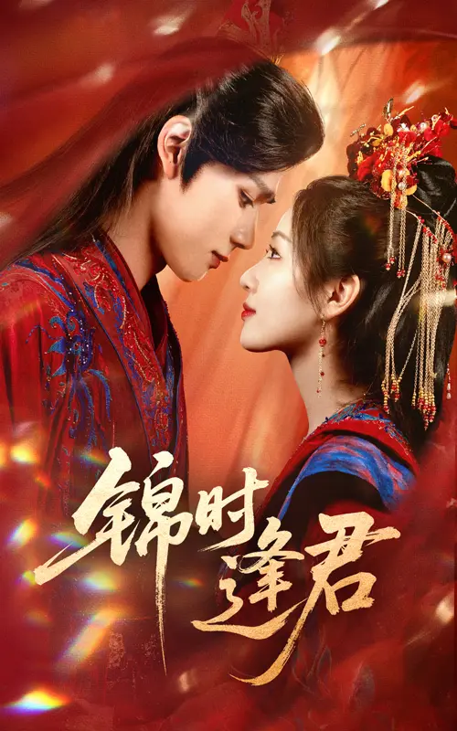 锦时逢君 免费在线观看