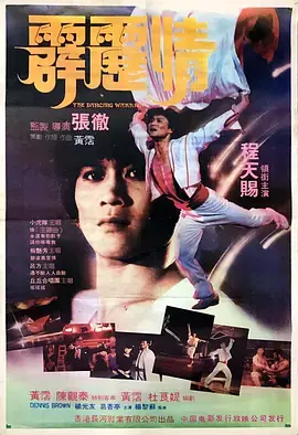 霹雳情 免费在线观看