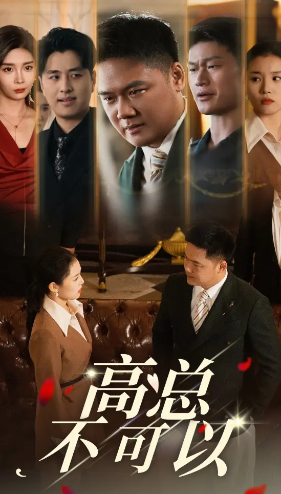 高总不可以 免费在线观看