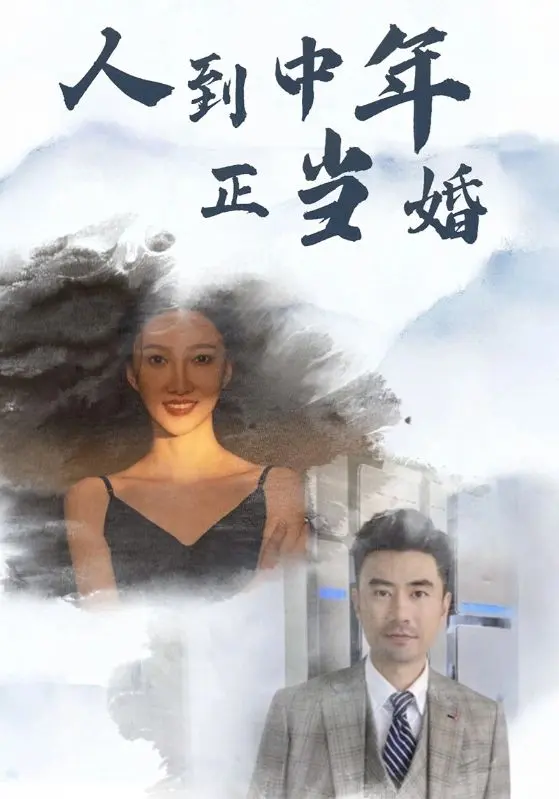 人到中年正当婚 免费在线观看
