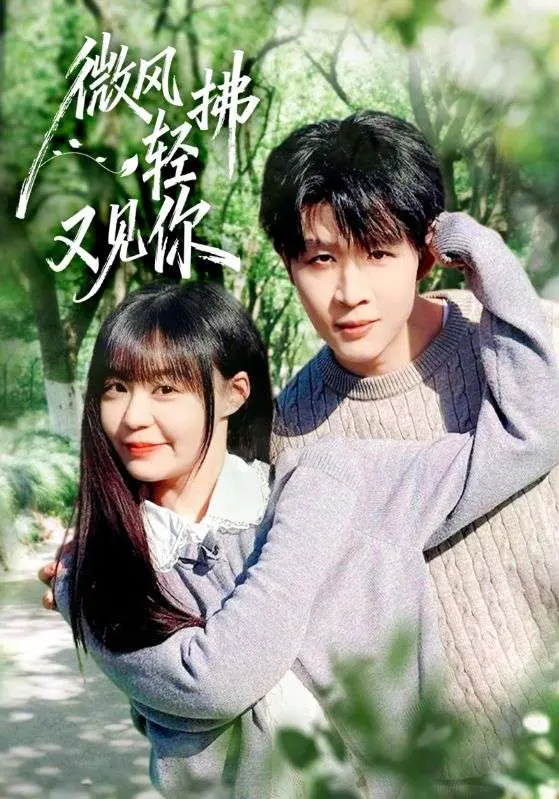 微风轻拂又见你 免费在线观看