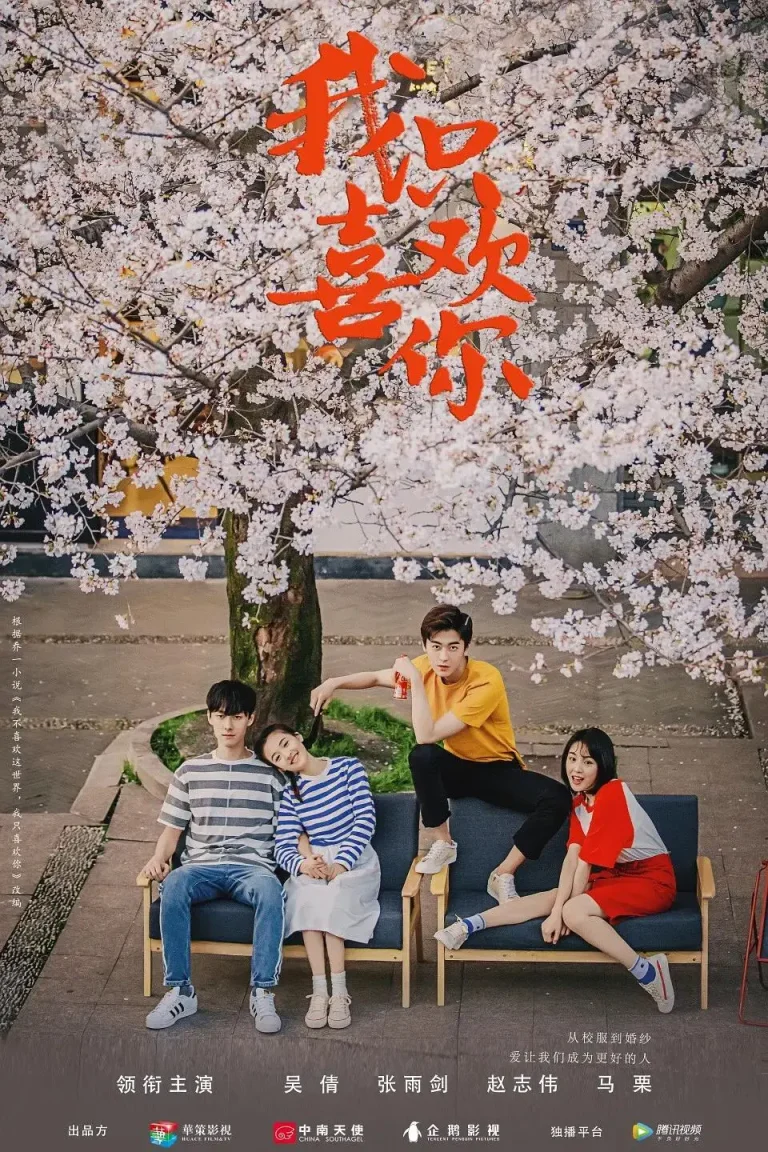 我只喜欢你 免费在线观看