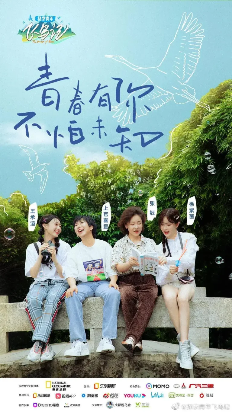 探索青年飞鸟记 免费在线观看