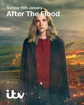 洪水之后第二季 免费在线观看