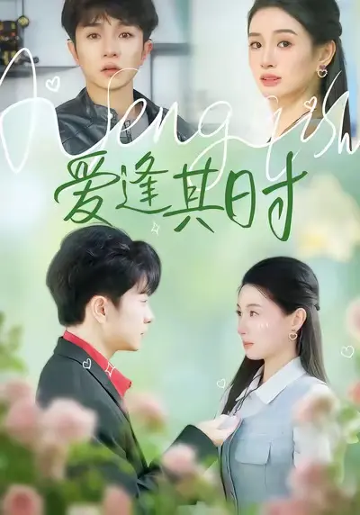 爱逢其时 免费在线观看