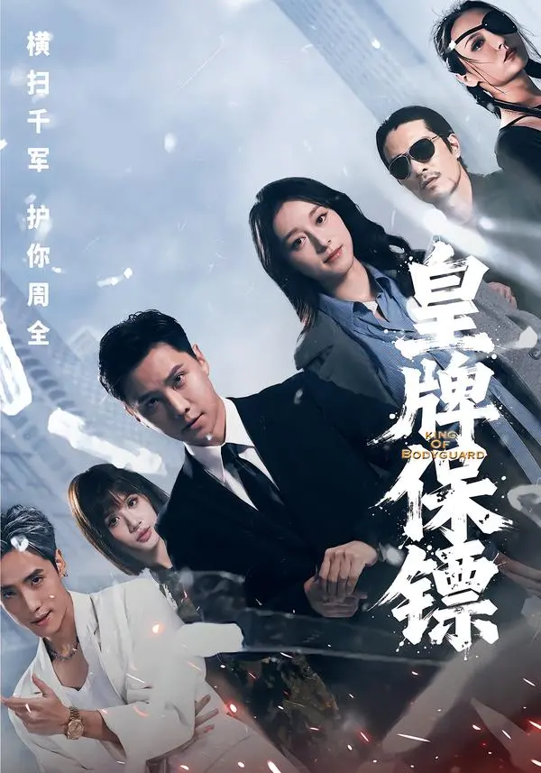 皇牌保镖 免费在线观看