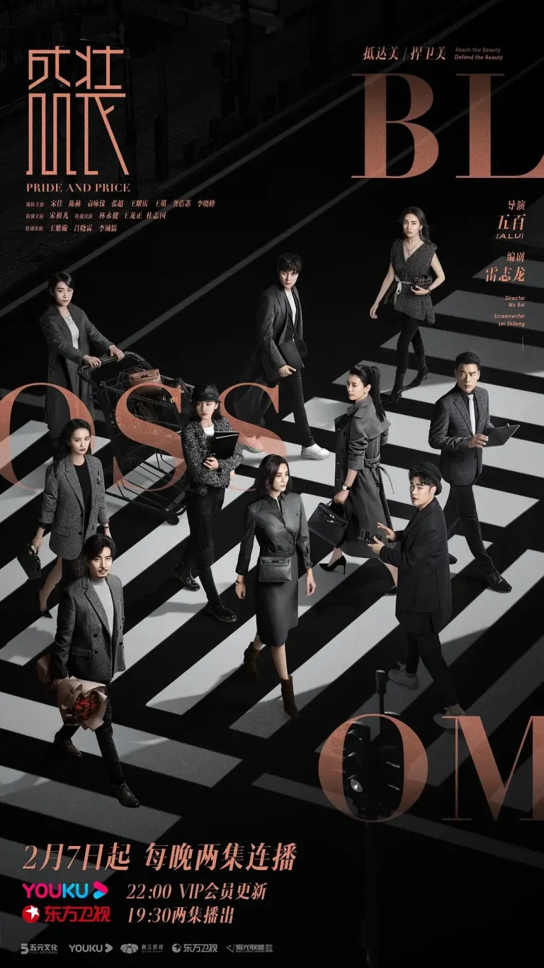 盛装 免费在线观看