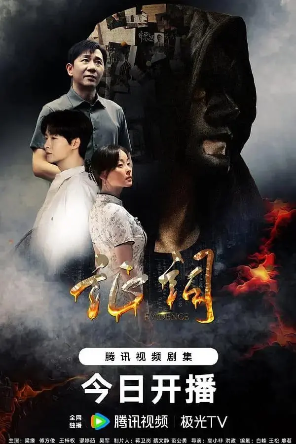 证词 免费在线观看