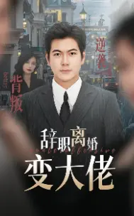 辞职离婚变大佬 免费在线观看