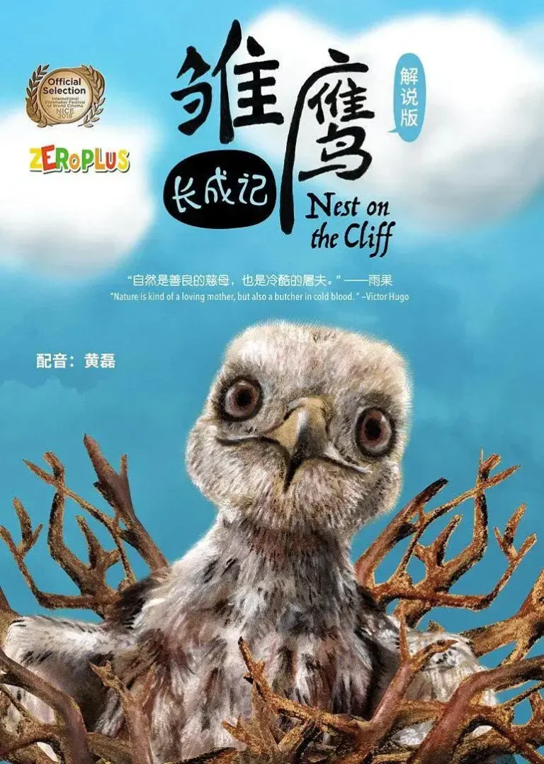 雏鹰长成记 免费在线观看