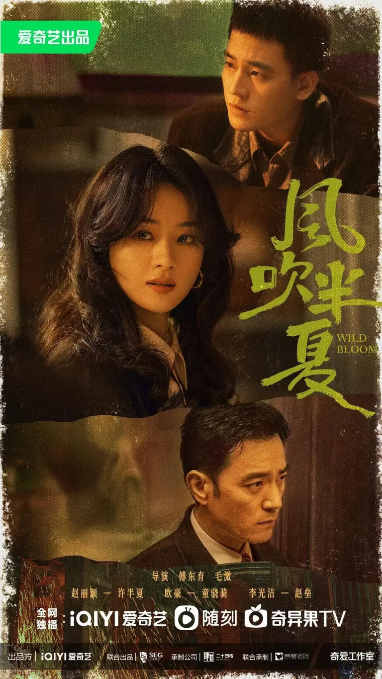 风吹半夏 免费在线观看