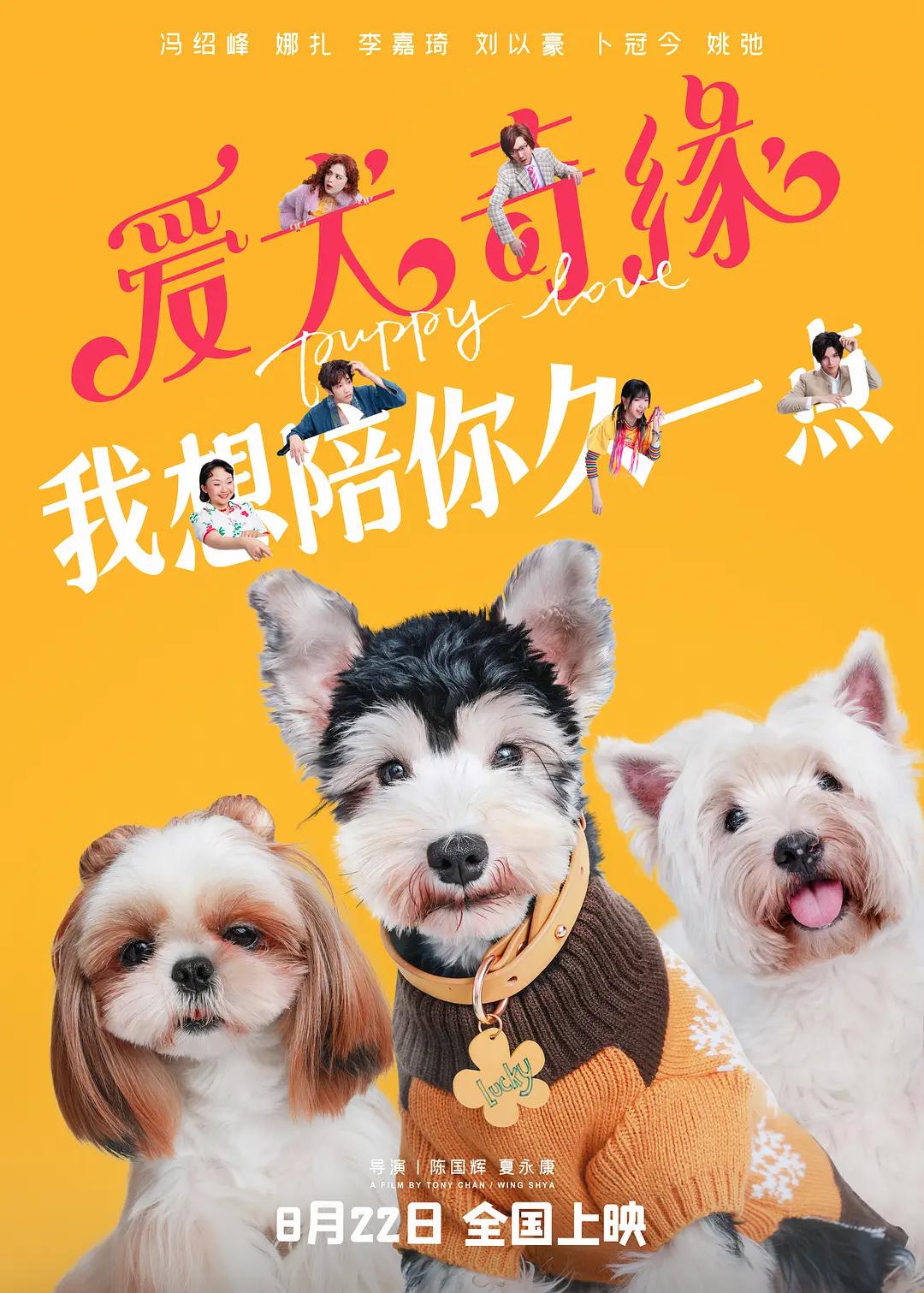 成全电影免费看(🥋)海报