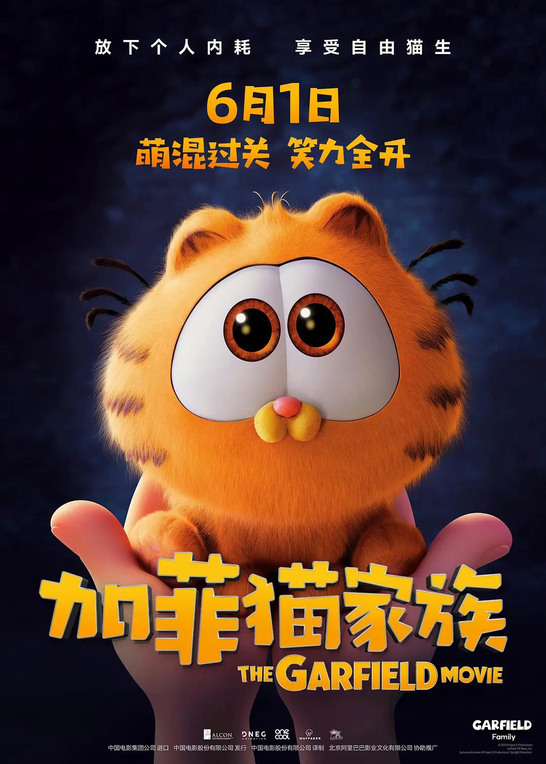 机对机软件免费视频下载大全(🕹)海报