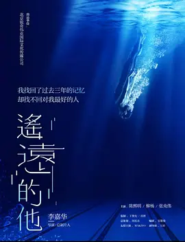 遥远的他海报
