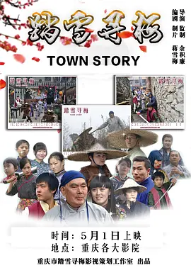 踏雪寻梅2015海报