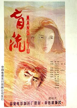 盲流1987海报