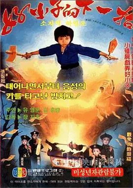 好小子的下一招海报