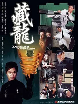 藏龙2007海报