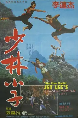 少林小子海报