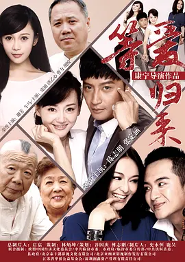 等爱归来2015海报