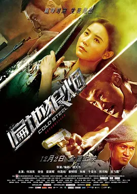 遍地狼烟2011海报